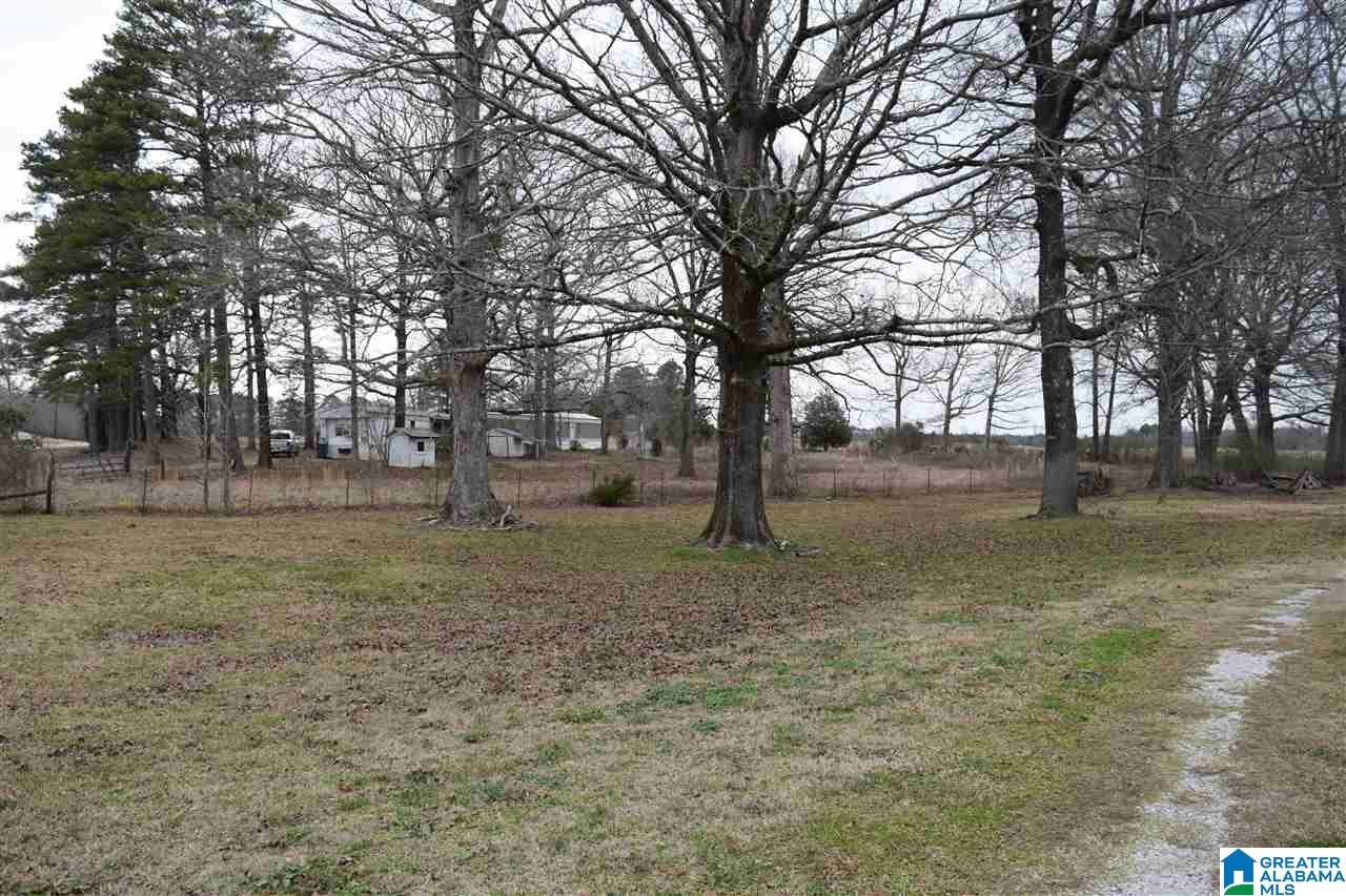 11218 Vance Blocton Road Vance, AL 35490 - Photo 10 of 37