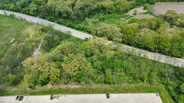 a view of a yard with large trees