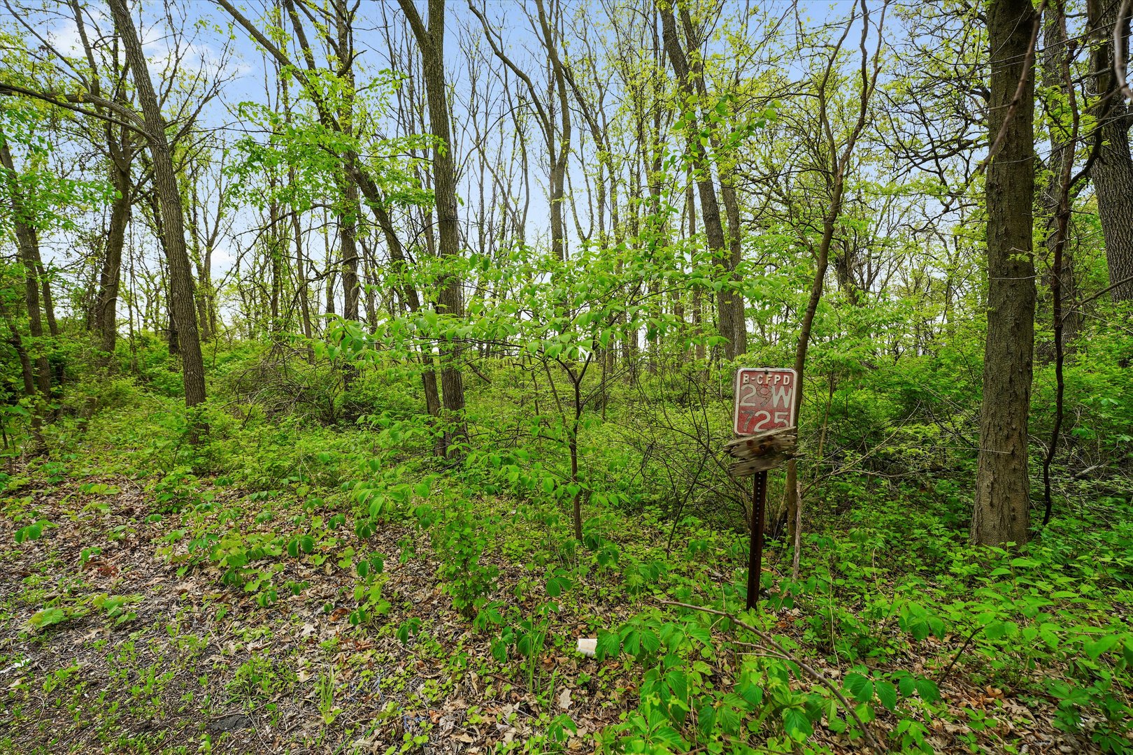 29W725 Army Trail Road West Chicago, IL 60185 - Photo 6 of 11 a green field with lots of palm trees