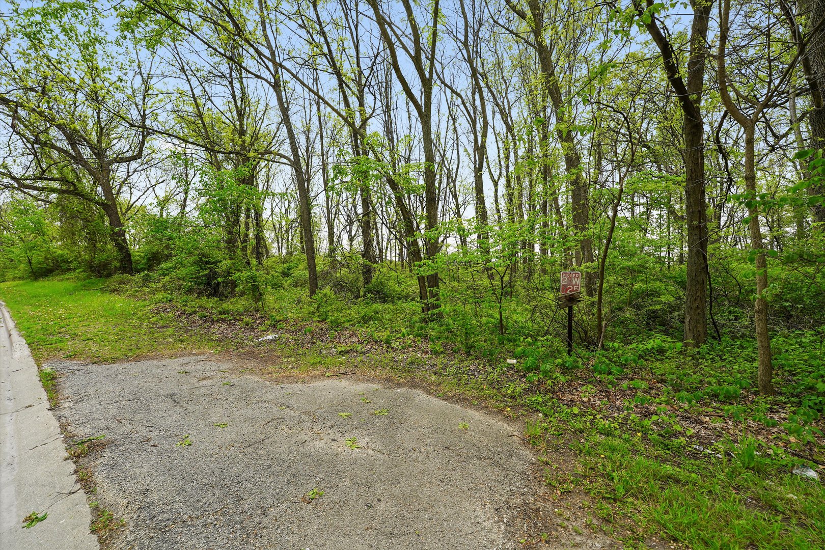 29W725 Army Trail Road West Chicago, IL 60185 - Photo 8 of 11 a view of a forest with trees in the background