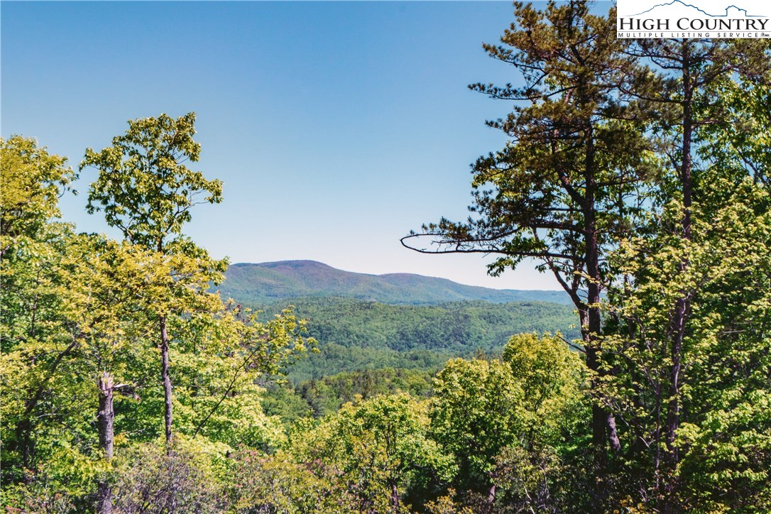 Lot 174 Marigold Roads Boone, NC 28607 - Photo 1 of 5 Gallery Image 1