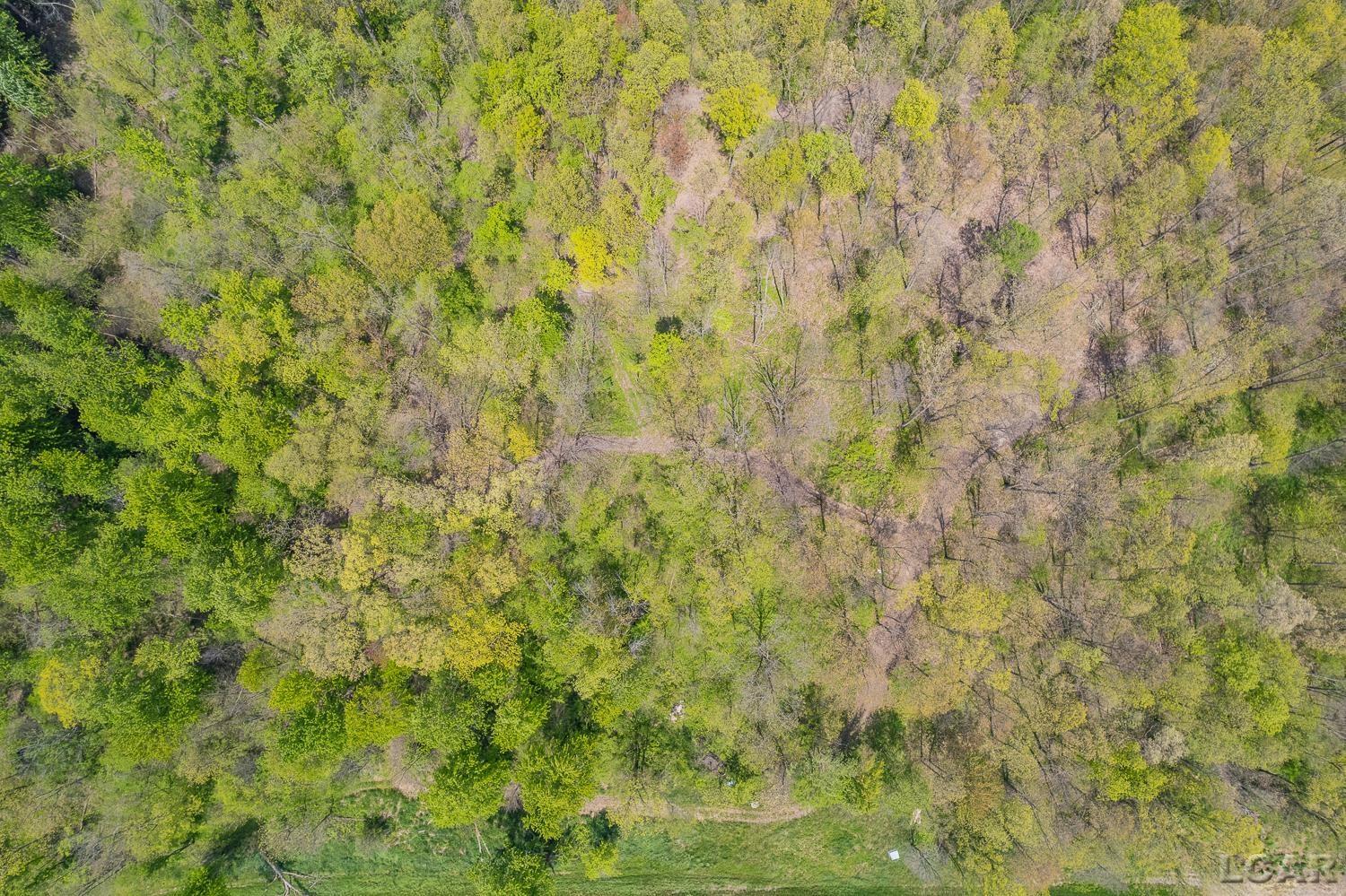16580 West Ridgeville Road Waldron, MI 49288 - Photo 58 of 67