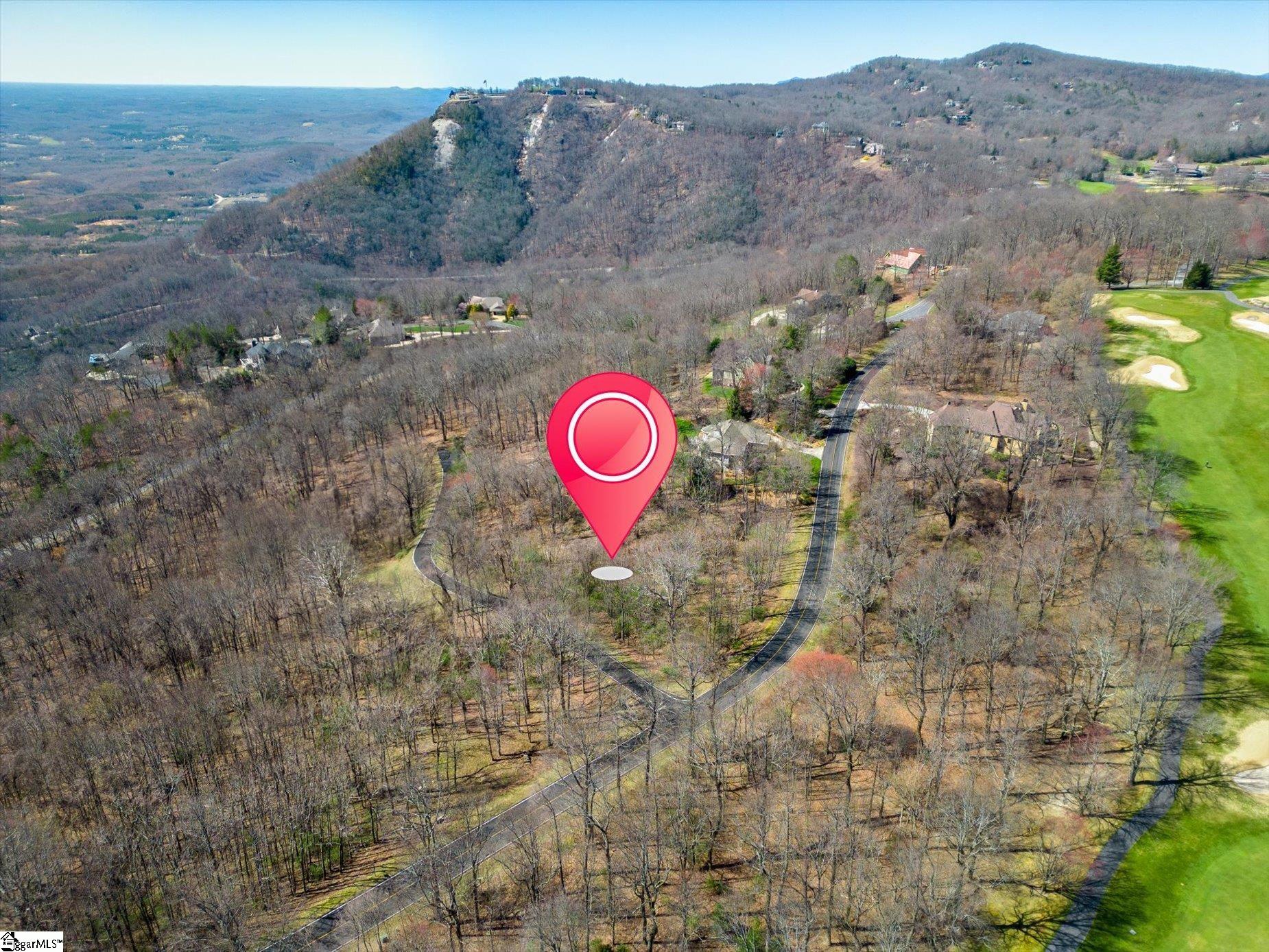 68 May Apple Way Landrum, SC 29356 - Photo 5 of 7
