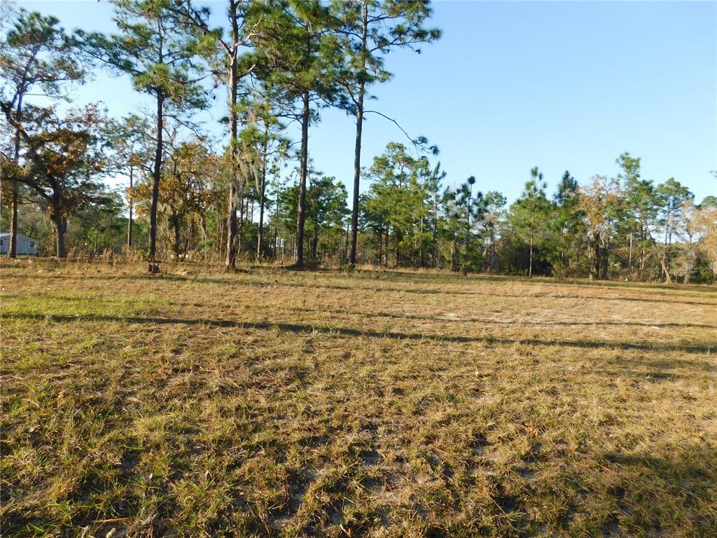 4932 East Eliza Court Inverness, FL 34452 - Photo 6 of 11