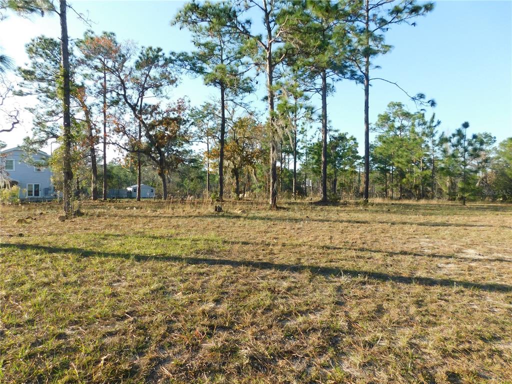 4932 East Eliza Court Inverness, FL 34452 - Photo 8 of 11