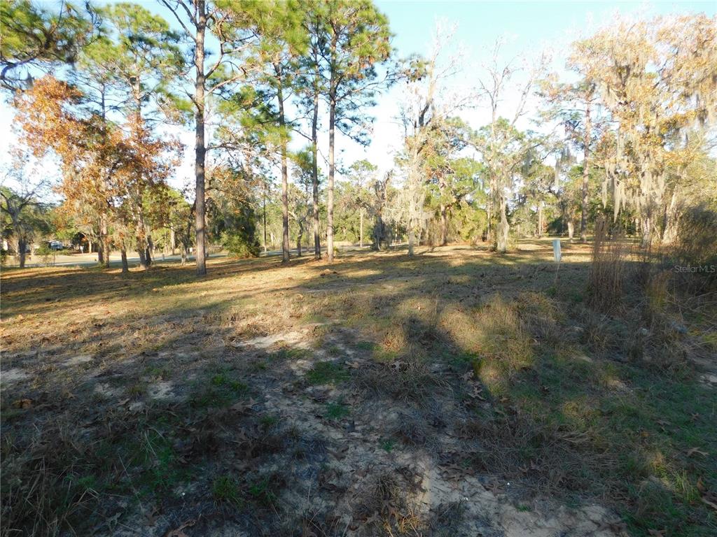 4932 East Eliza Court Inverness, FL 34452 - Photo 9 of 11