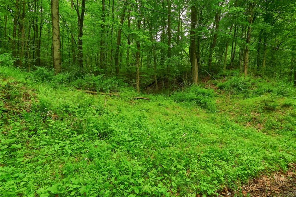 218 Collins Road Beaver Falls, PA 15010 - Photo 7 of 8 Gallery Image 7