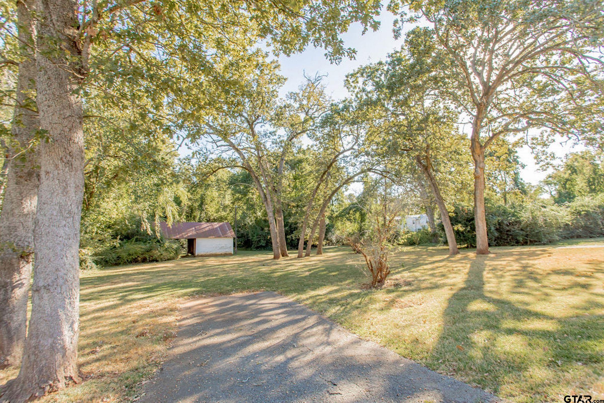 408 East Jolly Street Palestine, TX 75801 - Photo 45 of 48 a view of a yard with large trees