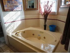 2927 Antioch Road Johnson City, TN 37604 - Photo 13 of 24 And a huge jetted tub