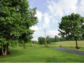 2927 Antioch Road Johnson City, TN 37604 - Photo 24 of 24 Country views in the city