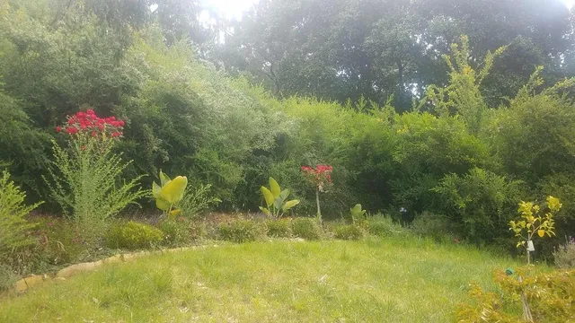 $1,340,000 | 9028 Burr Street, Oakland, CA 94605