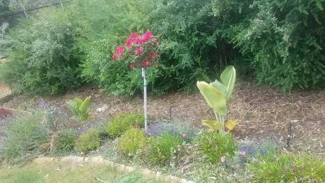 $1,340,000 | 9028 Burr Street, Oakland, CA 94605