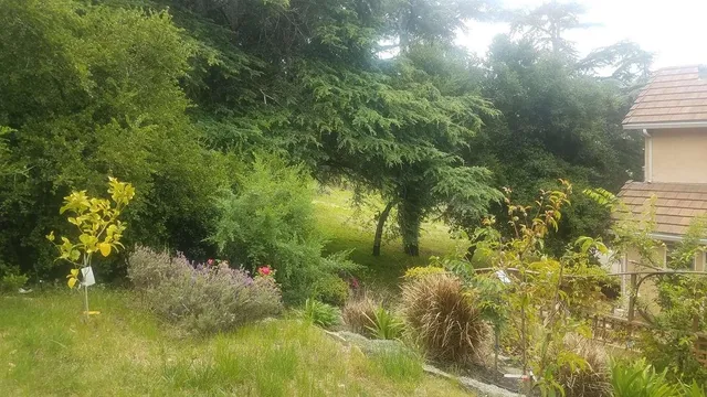 $1,340,000 | 9028 Burr Street, Oakland, CA 94605