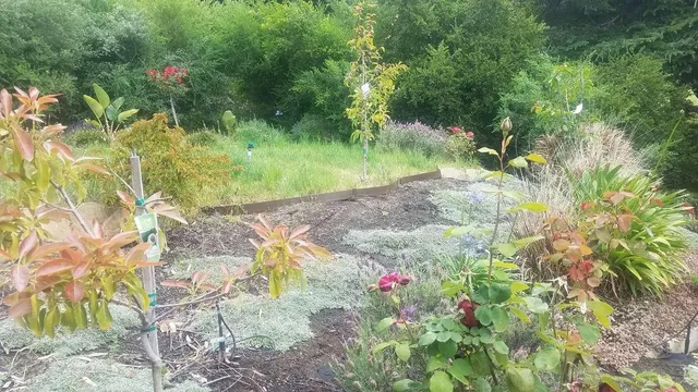 $1,340,000 | 9028 Burr Street, Oakland, CA 94605