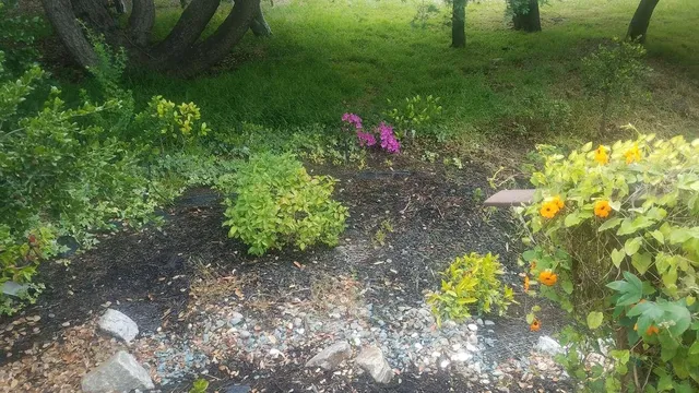 $1,340,000 | 9028 Burr Street, Oakland, CA 94605