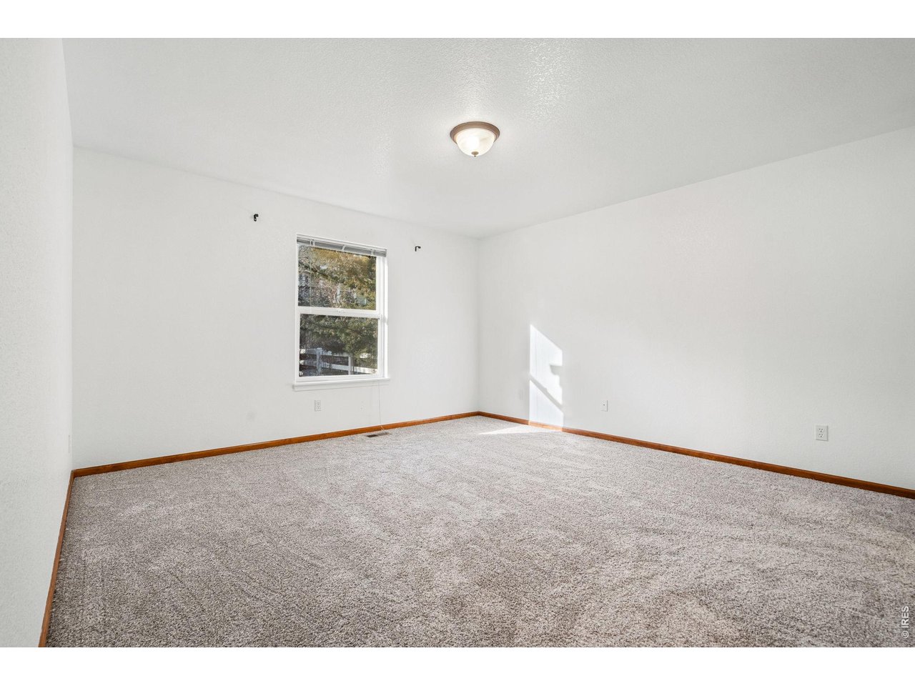 2239 Muir Lane Fort Collins, CO 80524 - Photo 14 of 28