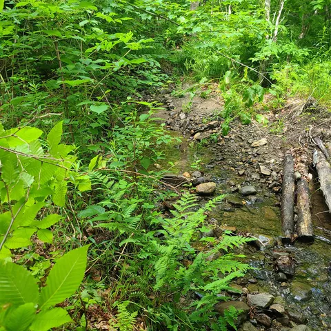 $29,900 | 40 Bubier Road, Wilton, ME 04294