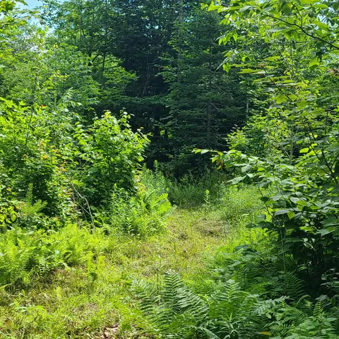 $29,900 | 40 Bubier Road, Wilton, ME 04294