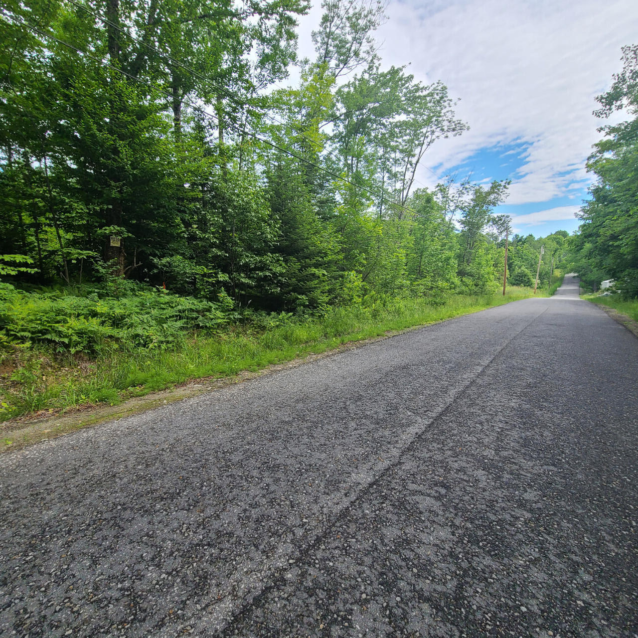 40 Bubier Road Wilton, ME 04294 - Photo 5 of 5 20240626_100650