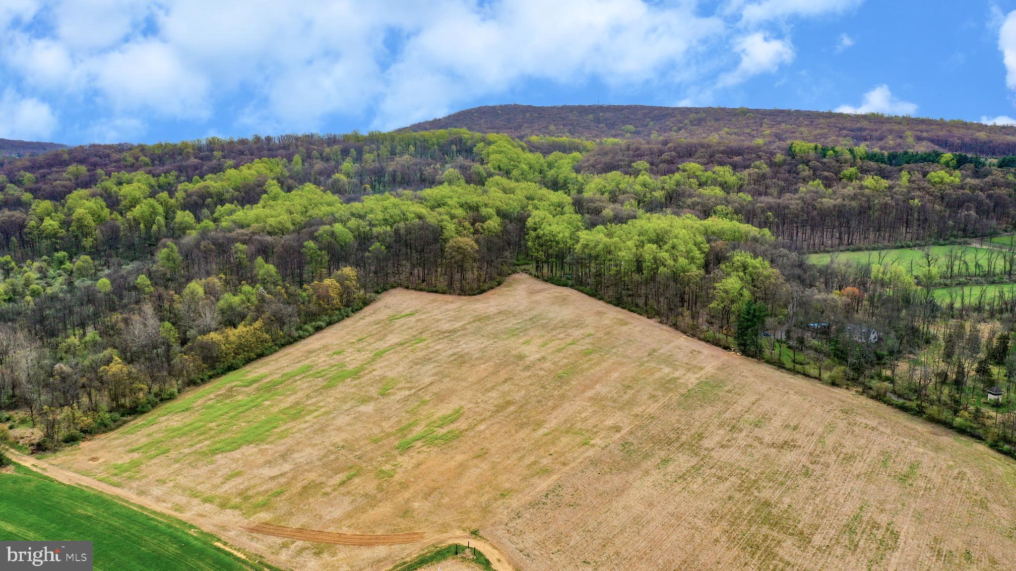 0 Bodder Road Riegelsville, PA 18077 - Photo 2 of 5