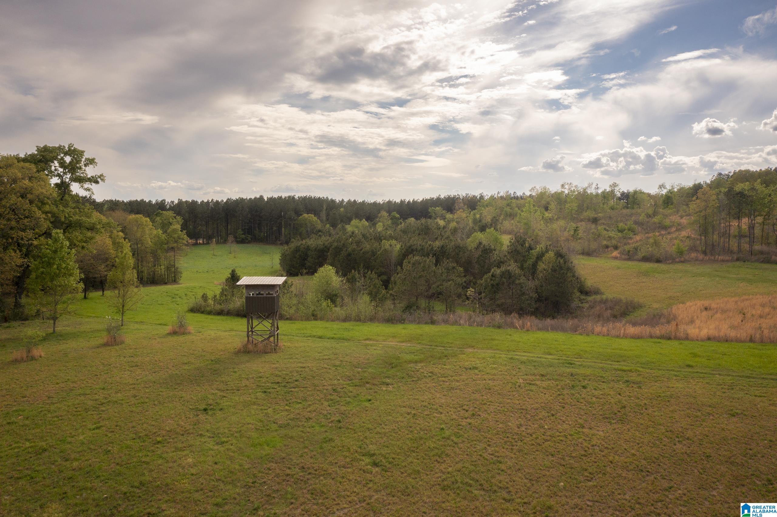 1325 Ledbetter Road Munford, AL 36268 - Photo 59 of 85