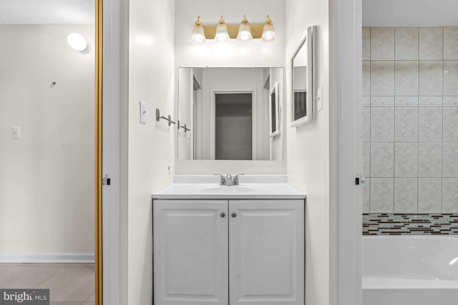 1836 Metzerott Road, Unit 215 Hyattsville, MD 20783 - Photo 29 of 36 a bathroom with a sink and a mirror