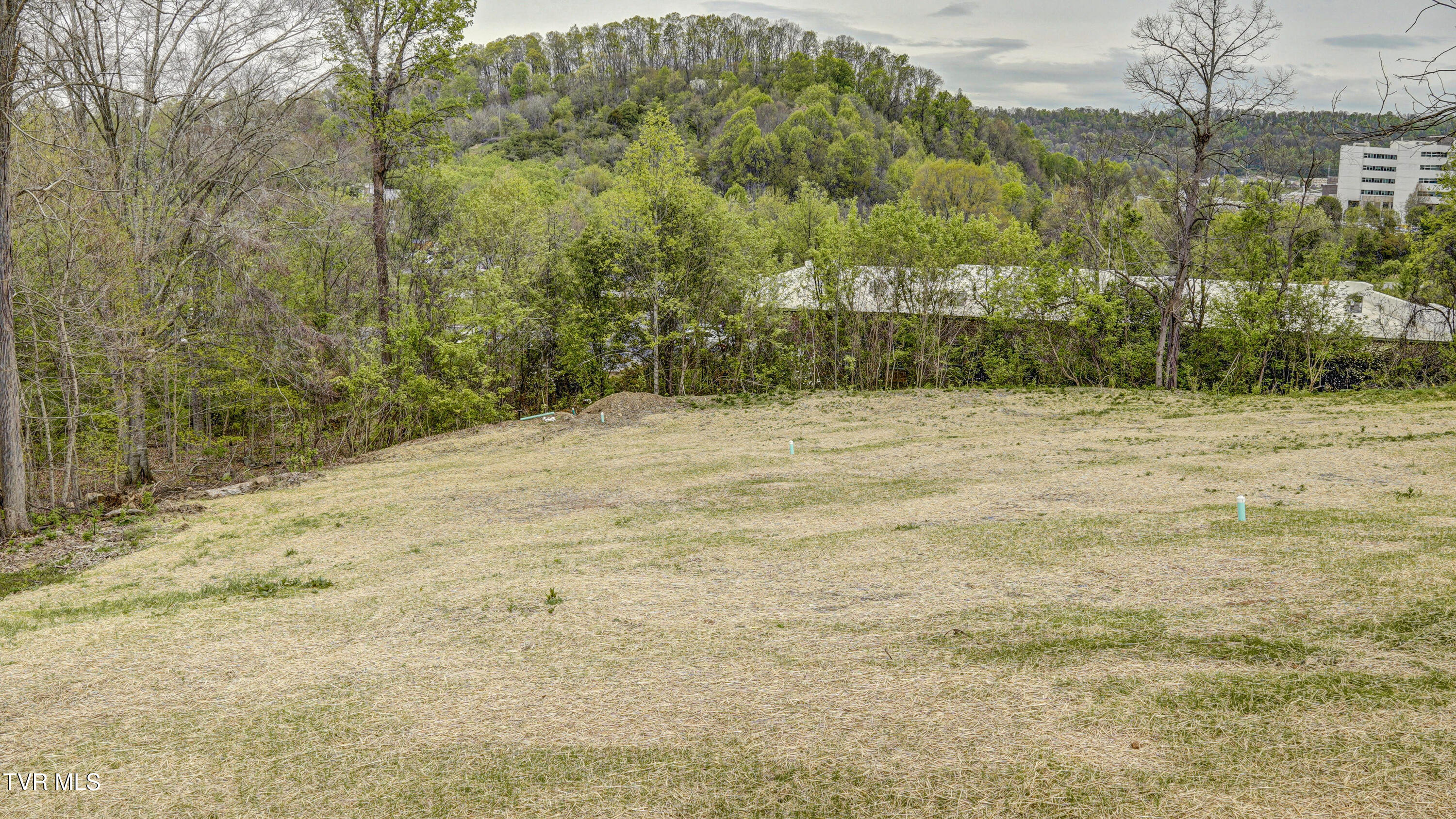 850 Meadow View Road Bristol, TN 37620 - Photo 52 of 54 _DSC3504_5_6_7_8