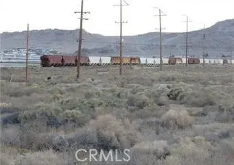 a view of a dry yard