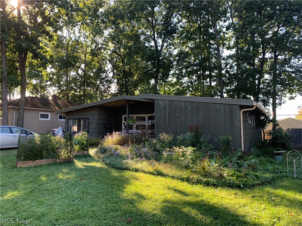 Mid-Century Charmer!