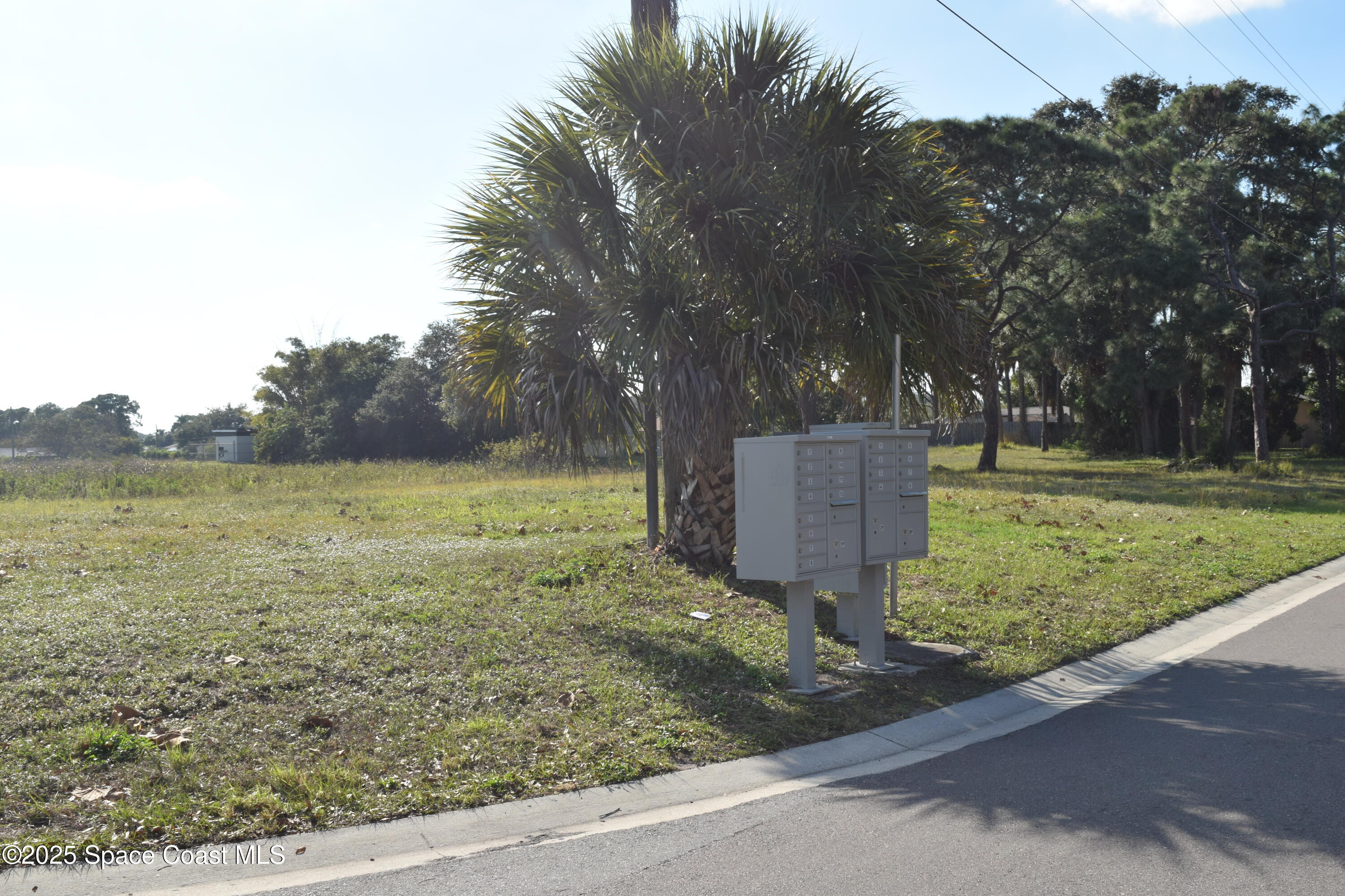 1657 Norwood Street Palm Bay, FL 32905 - Photo 33 of 34 DSC_0220