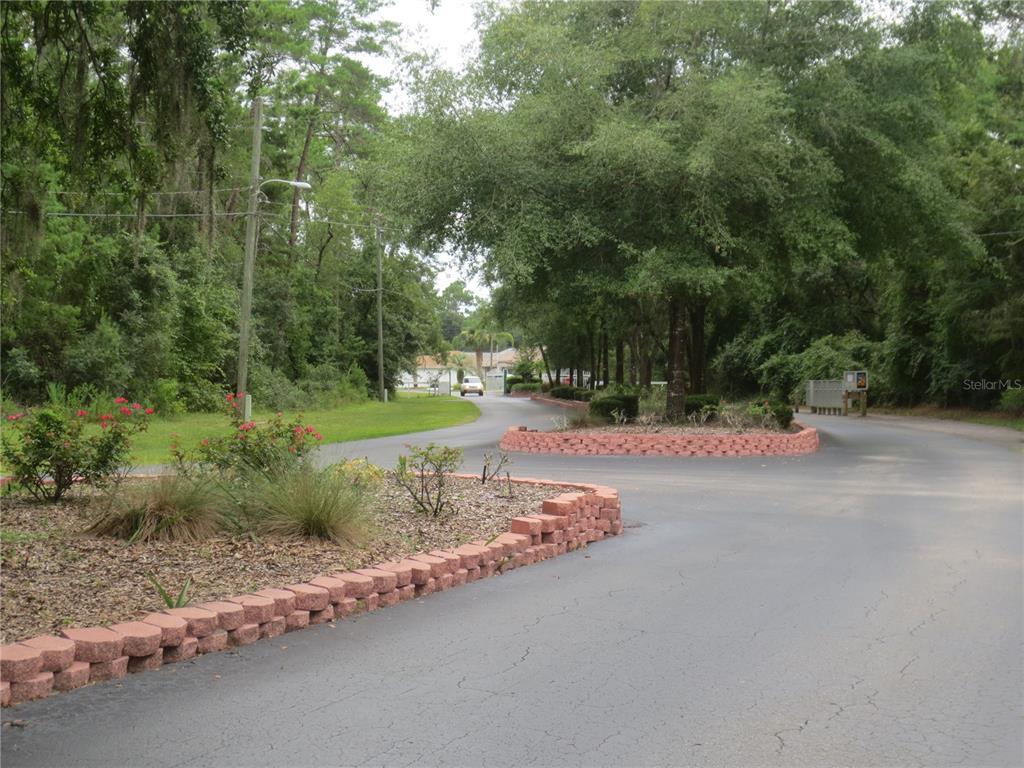 7th Loop Silver Springs, FL 34488 - Photo 7 of 10 a view of a street with a yard and large trees