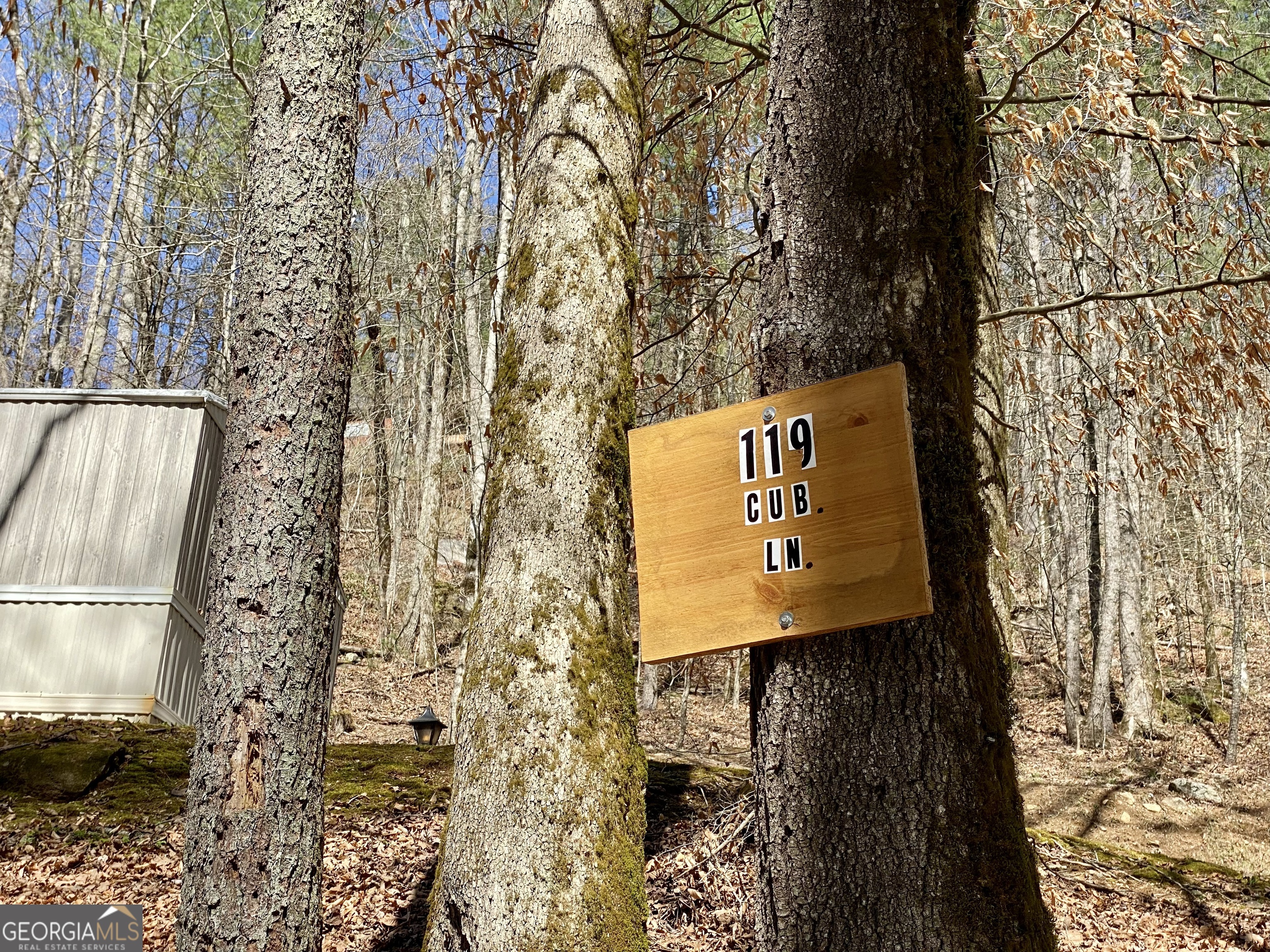 119 Cub Lane Rabun Gap, GA 30568 - Photo 3 of 42