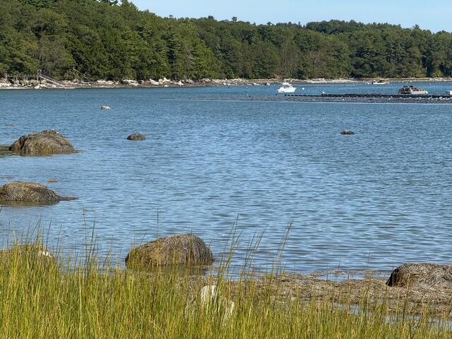 3-059 White Road Newcastle, ME 04553 - Photo 7 of 12 Unknown-2