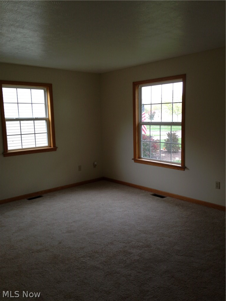 233 Louise Street Rittman, OH 44270 - Photo 9 of 14 Gallery Image 9