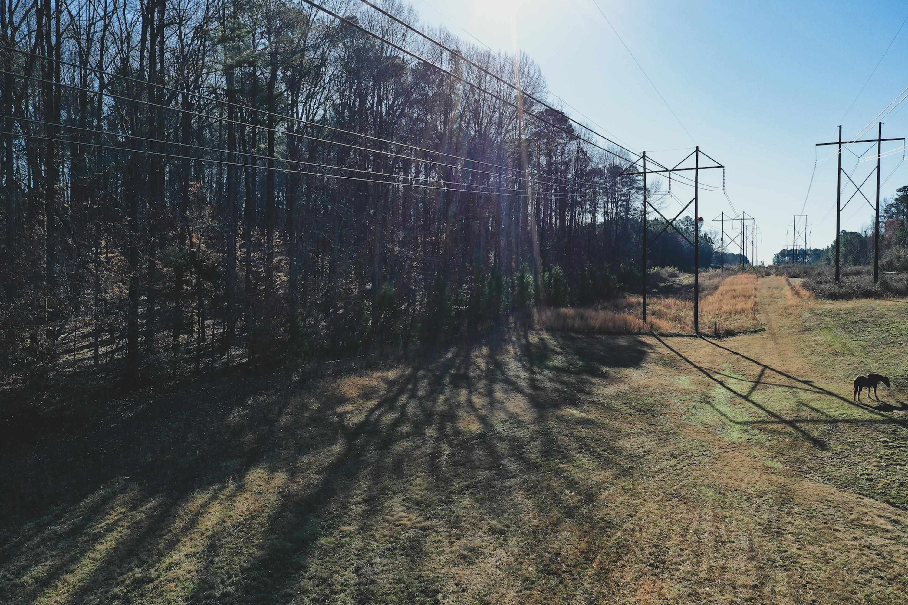 5025 Red Cedar Road Raleigh, NC 27613 - Photo 68 of 75 Photo 68