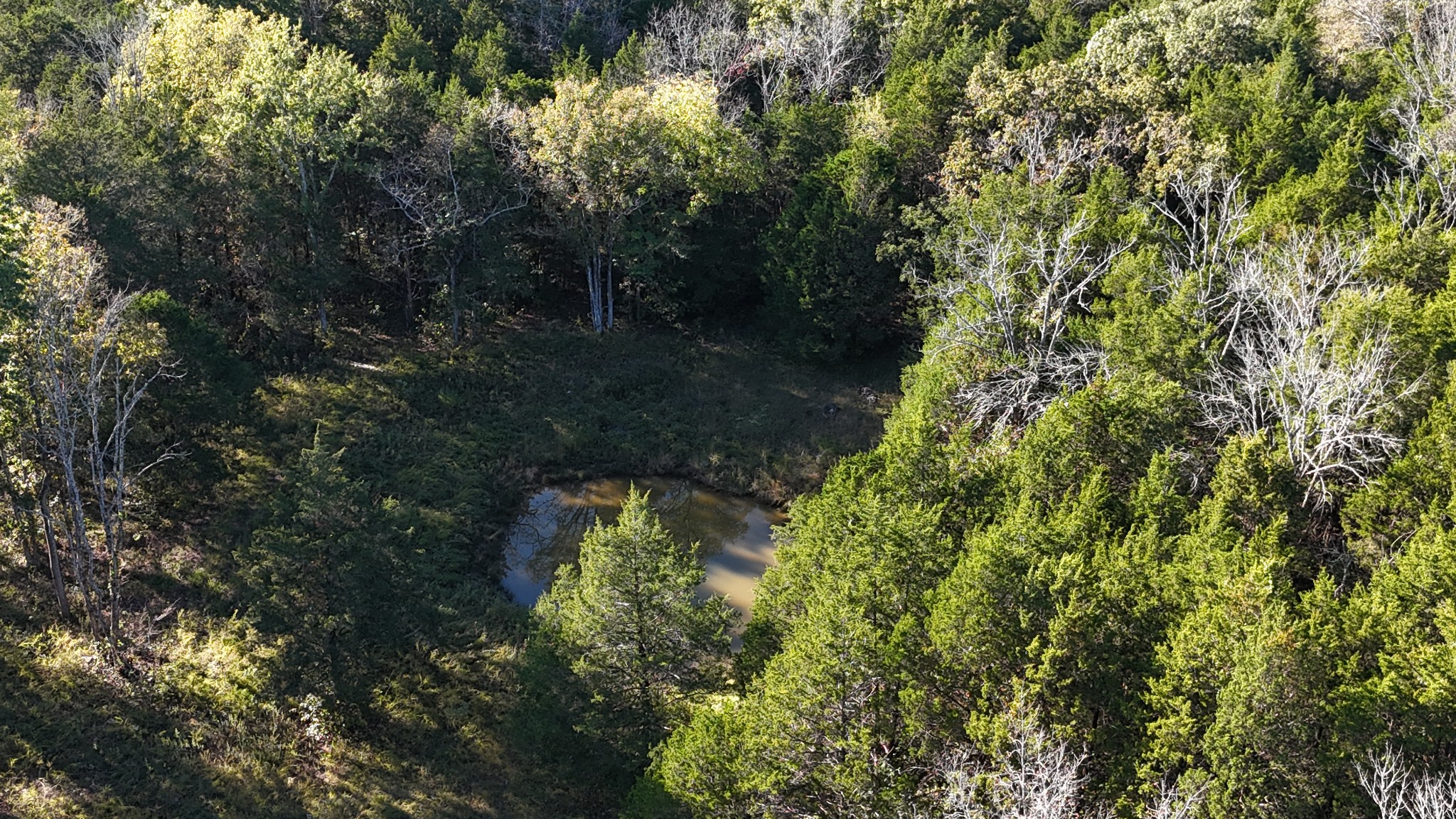 611 Baxter Road Murfreesboro, TN 37130 - Photo 11 of 22 a view of a yard