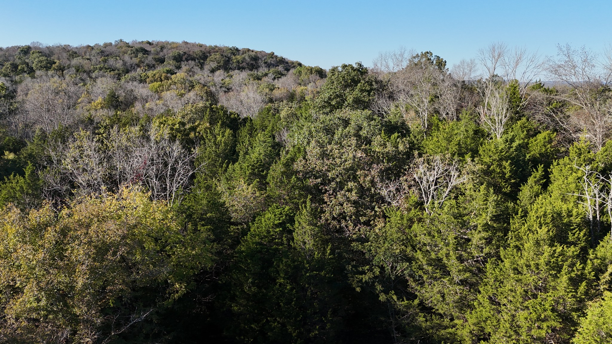 611 Baxter Road Murfreesboro, TN 37130 - Photo 14 of 22 a view of a building