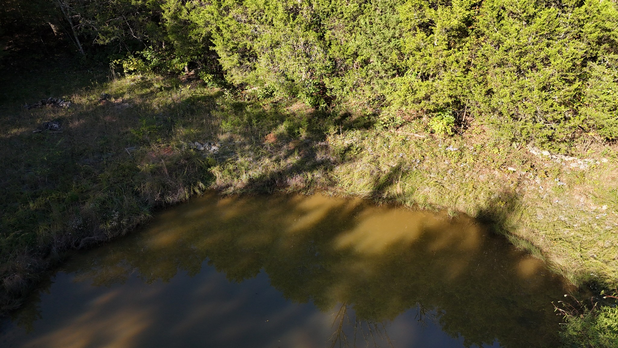 611 Baxter Road Murfreesboro, TN 37130 - Photo 5 of 22