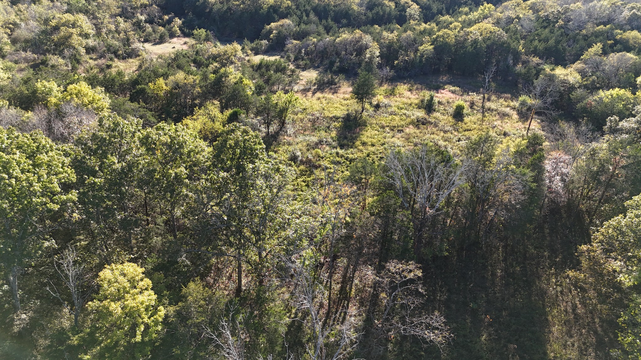 611 Baxter Road Murfreesboro, TN 37130 - Photo 8 of 22 a view of a yard