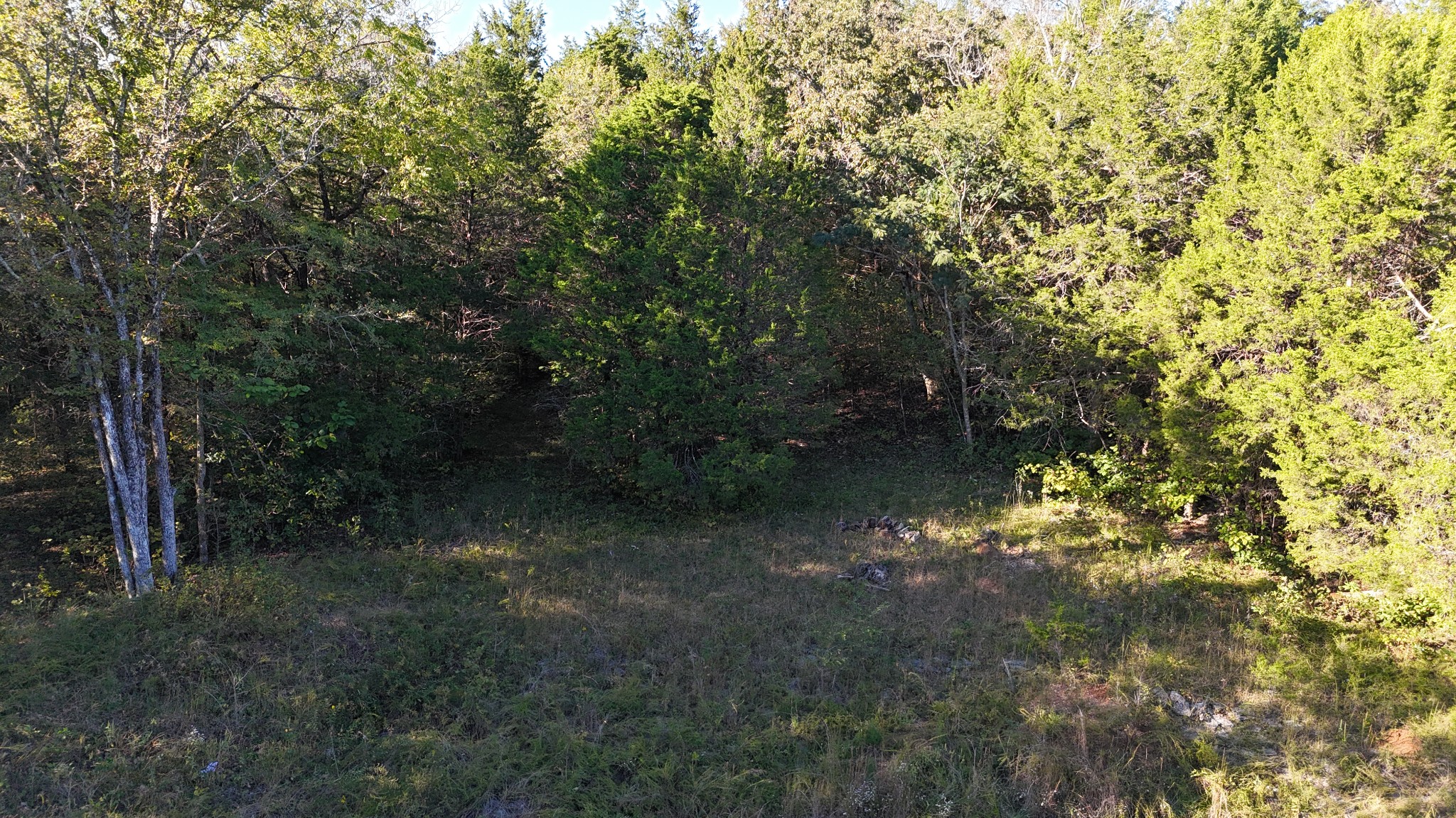 611 Baxter Road Murfreesboro, TN 37130 - Photo 9 of 22 a view of a forest with trees in the background