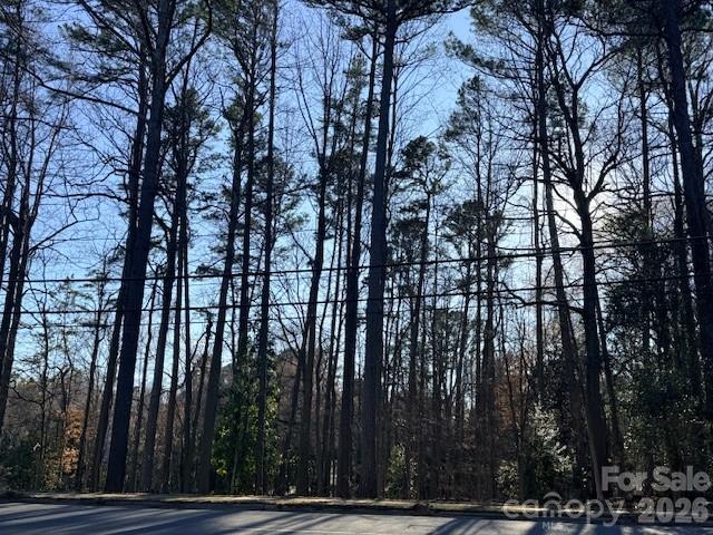 0 Sardis Road Charlotte, NC 28270 - Photo 2 of 4