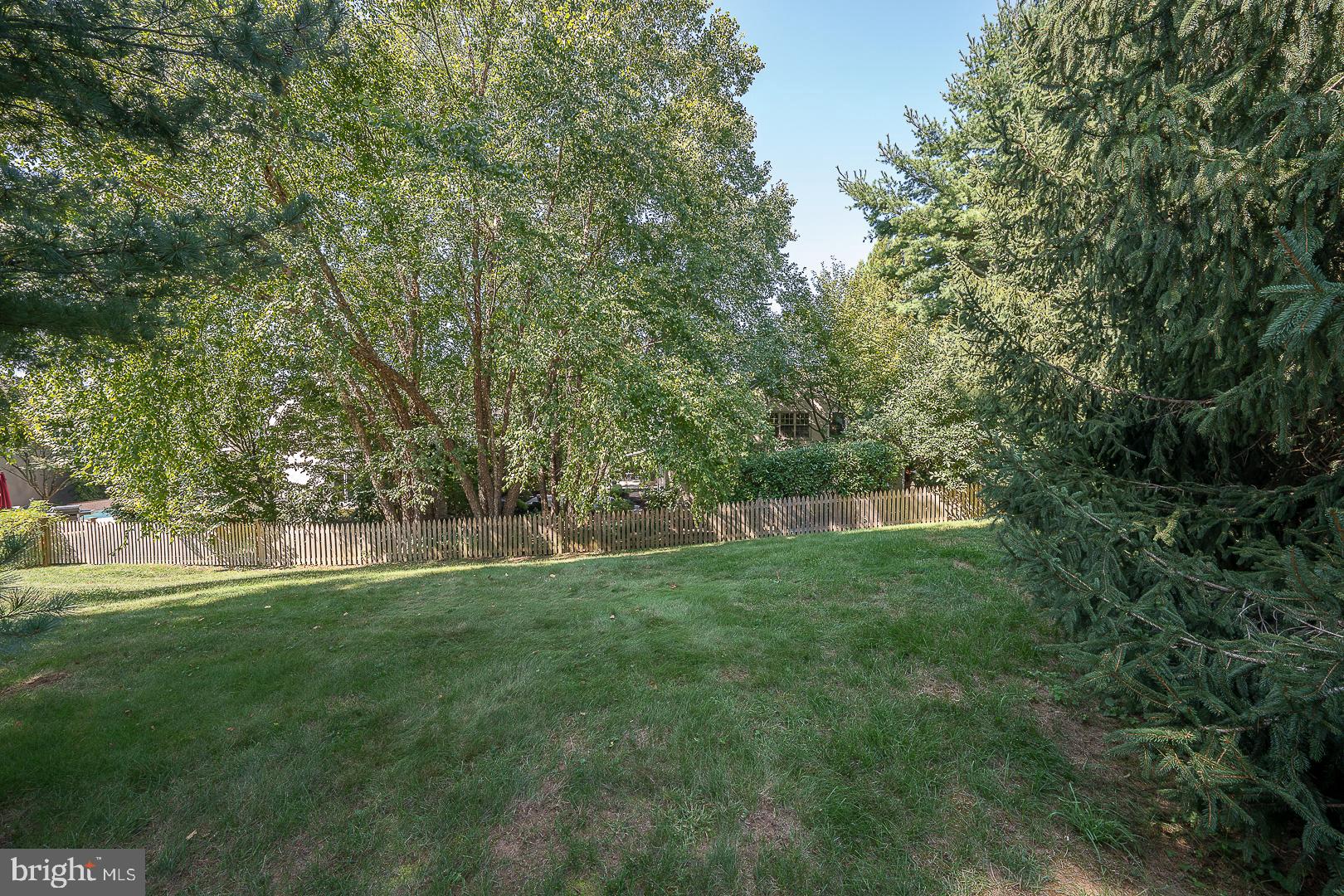447 Inveraray Road Villanova, PA 19085 - Photo 62 of 71 a view of a park with large trees