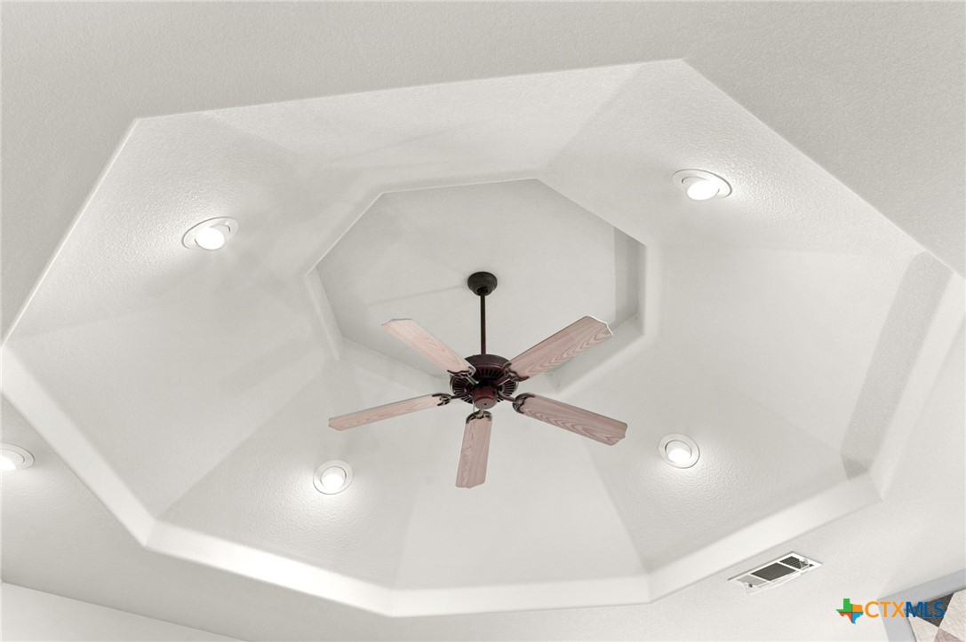 106 Starlight Trail Georgetown, TX 78633 - Photo 15 of 47 High Tray Ceiling