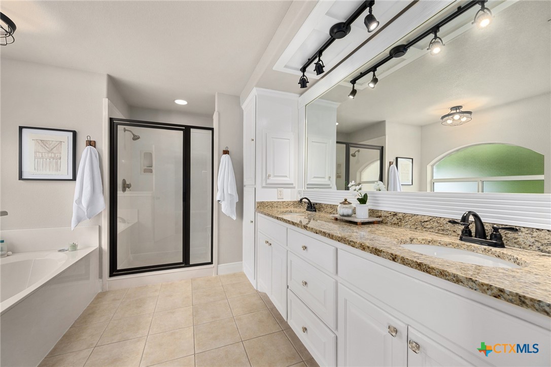 106 Starlight Trail Georgetown, TX 78633 - Photo 23 of 47 Primary Bedroom with Granite - Dual Vanity and Walk-in Shower
