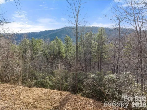 $39,900 | 28 Trillium Lane, Unit C1, Black Mountain, NC 28711