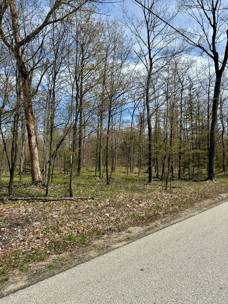 Tbd Lot1 Isle View Road Ellison Bay, WI 54210 - Photo 4 of 11