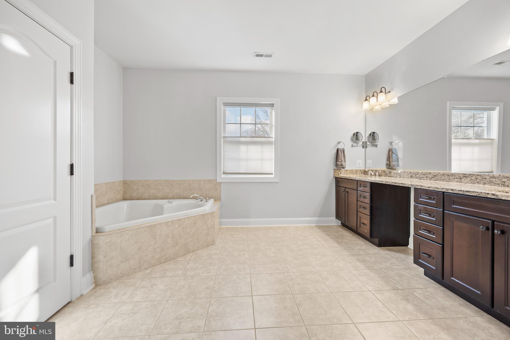 8047 Fairfax Road Alexandria, VA 22308 - Photo 36 of 70 Primary Bathroom with Soaking Tub