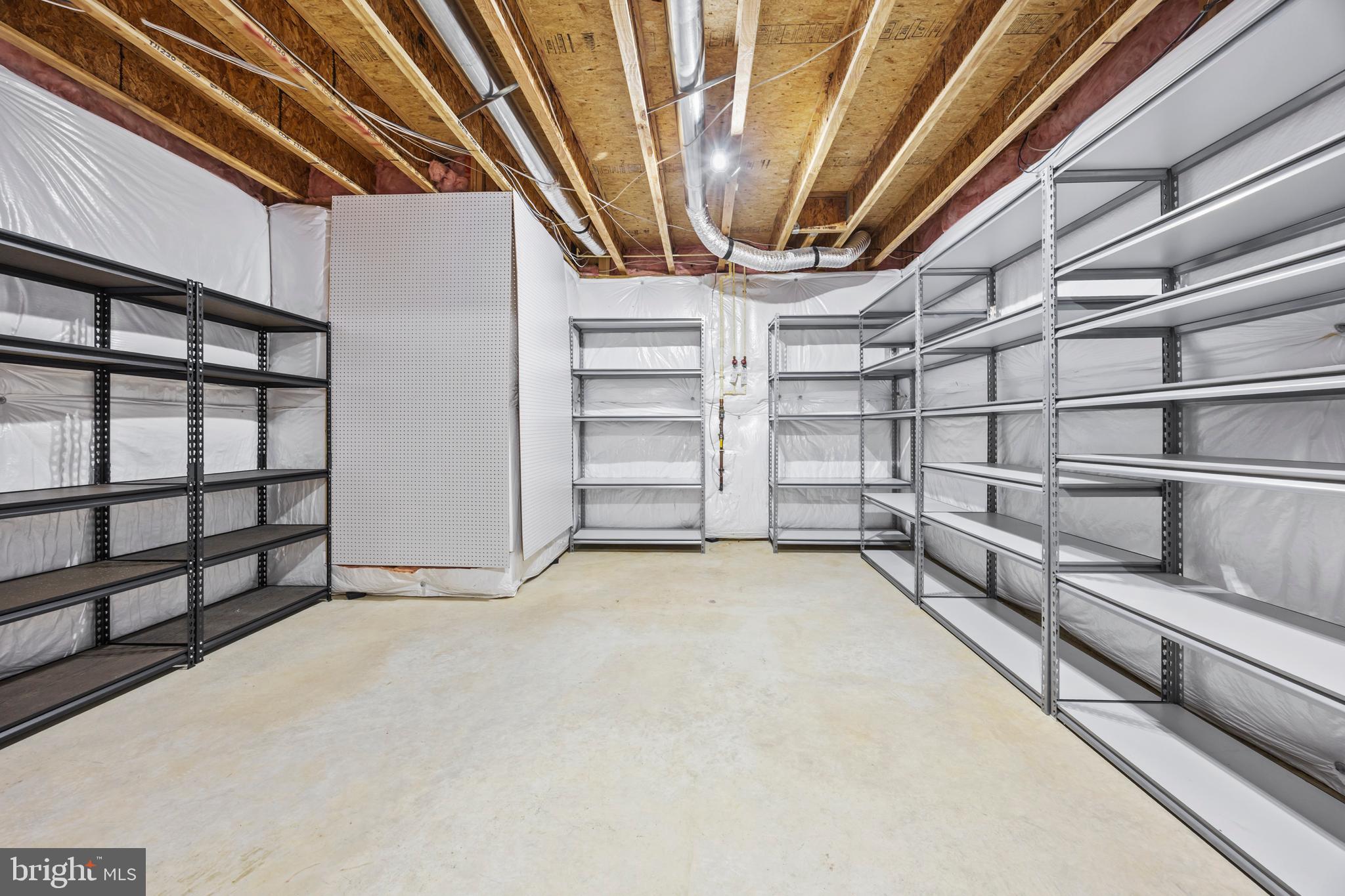 8047 Fairfax Road Alexandria, VA 22308 - Photo 54 of 70 Lower Level Storage Room (Shelving Conveys)