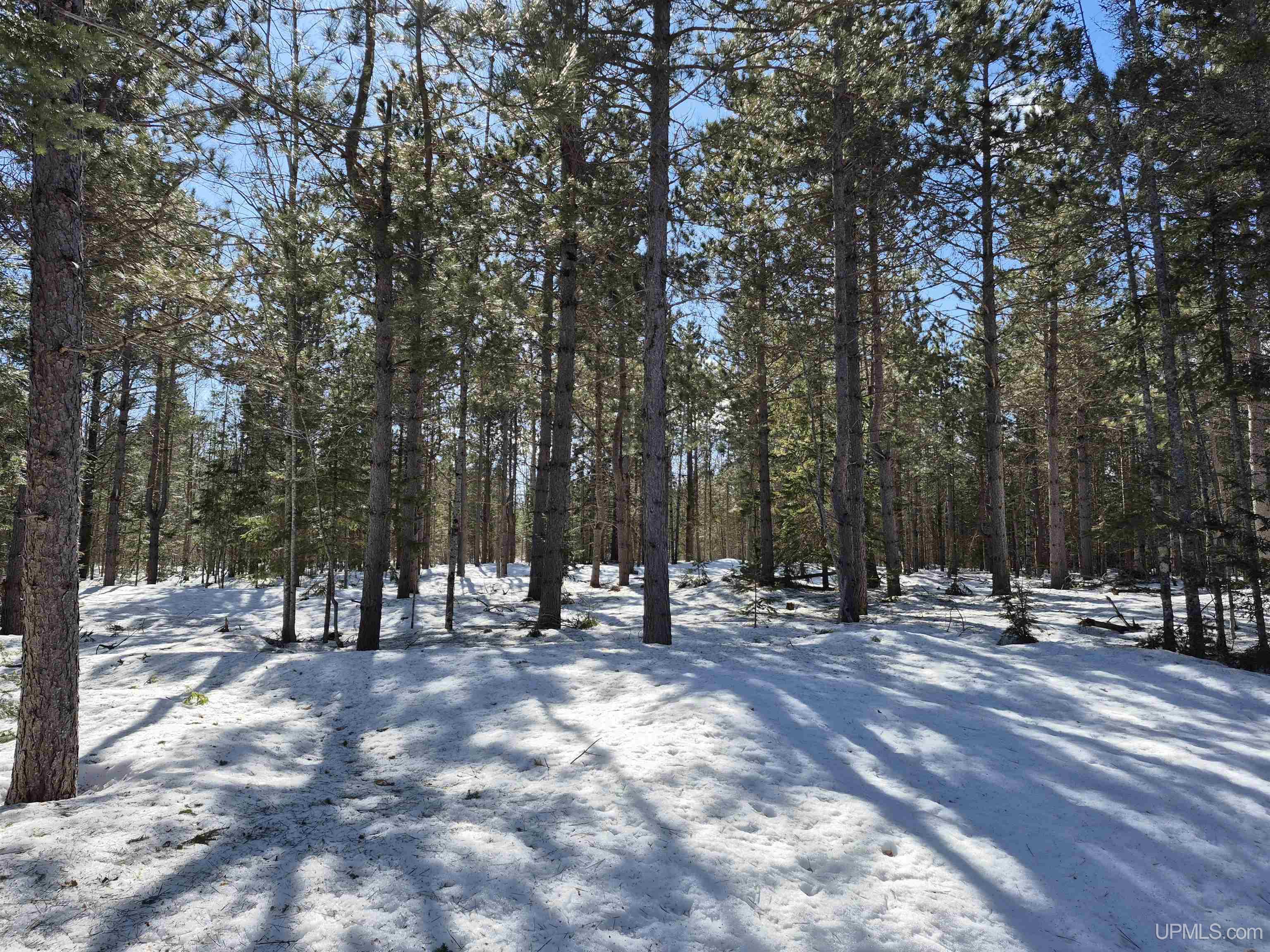 20-acres Off Flodin Road Manistique, MI 49854 - Photo 9 of 29