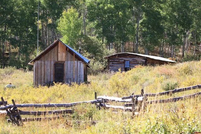 a view of a plant in a garden